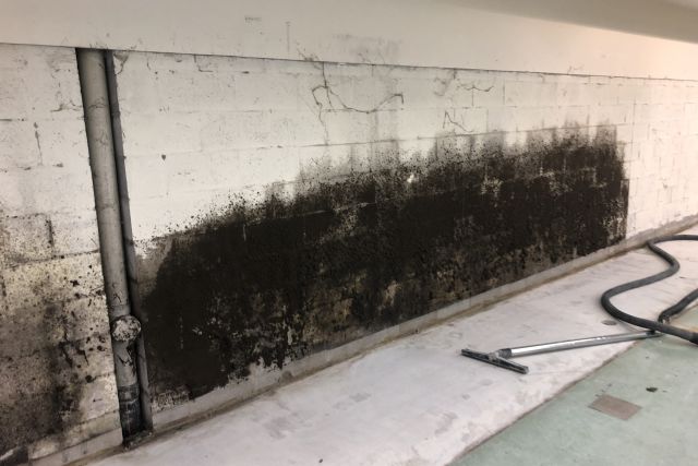 Mould growth along the wall
